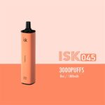 ISK042 3000 Puff POD Sekali Pakai tubuh persegi Puffs Disposable Vape Indonesia